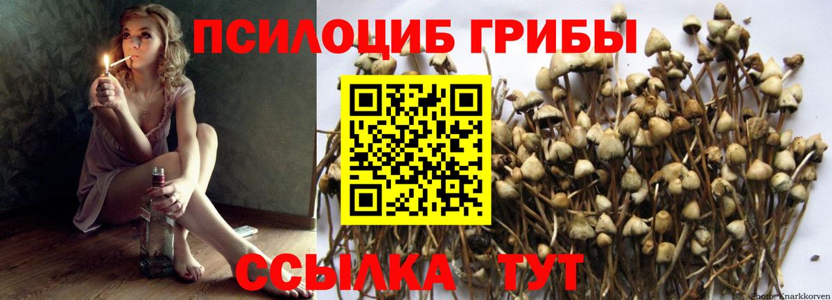 Галлюциногенные грибы MAGIC MUSHROOMS  Вход с VPN  Скопин 
